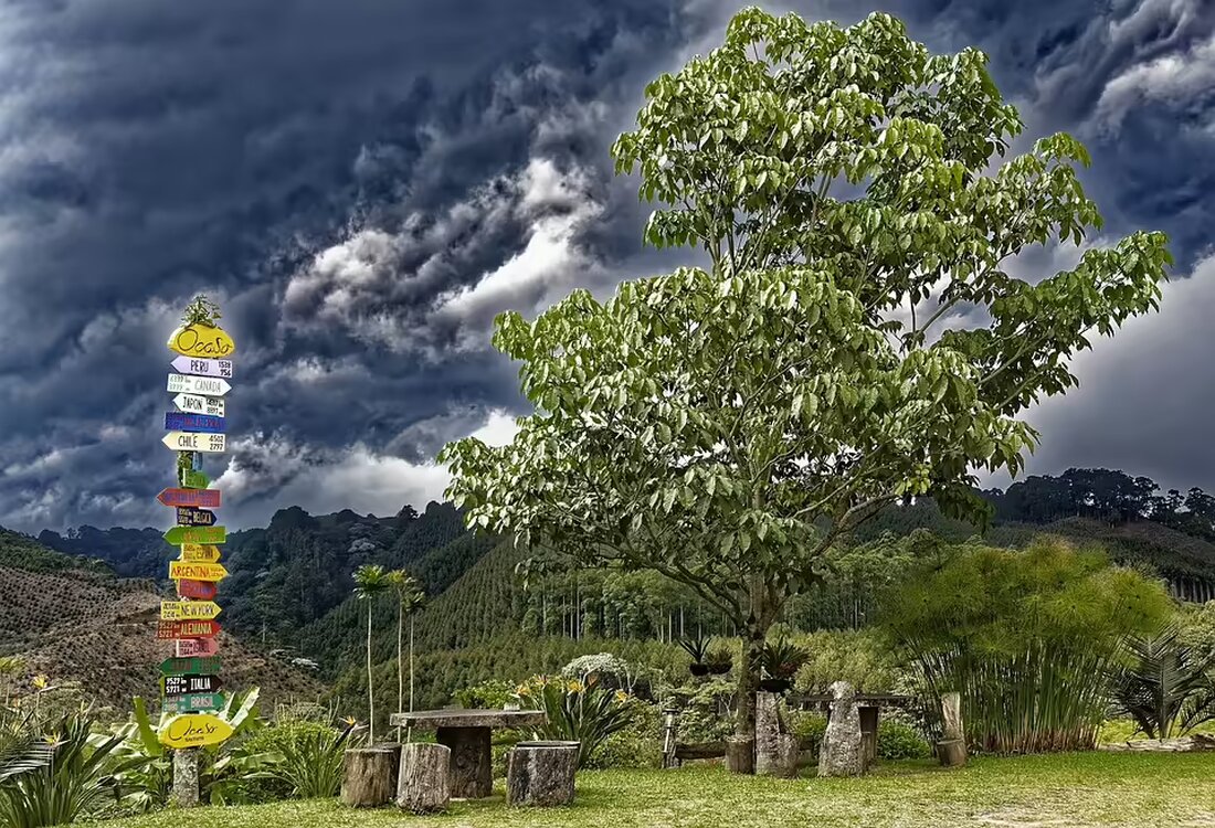 Raffael Behounek äußert sich zur Stadionproblematik der WSG Tirol und warnt vor einem Ablaufdatum des Vereins. Ein neuer Standort könnte entscheidend für die Zukunft sein. Jetzt mehr erfahren!