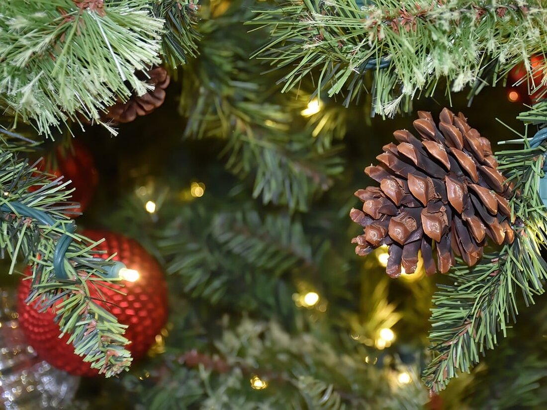 Die FPÖ Tulln organisiert eine Weihnachtsaktion, um allen Gemeindebürgern eine warme Mahlzeit anzubieten. Melden Sie sich bis 14. Dezember für köstliches Wildragout oder Rindsbraten an!