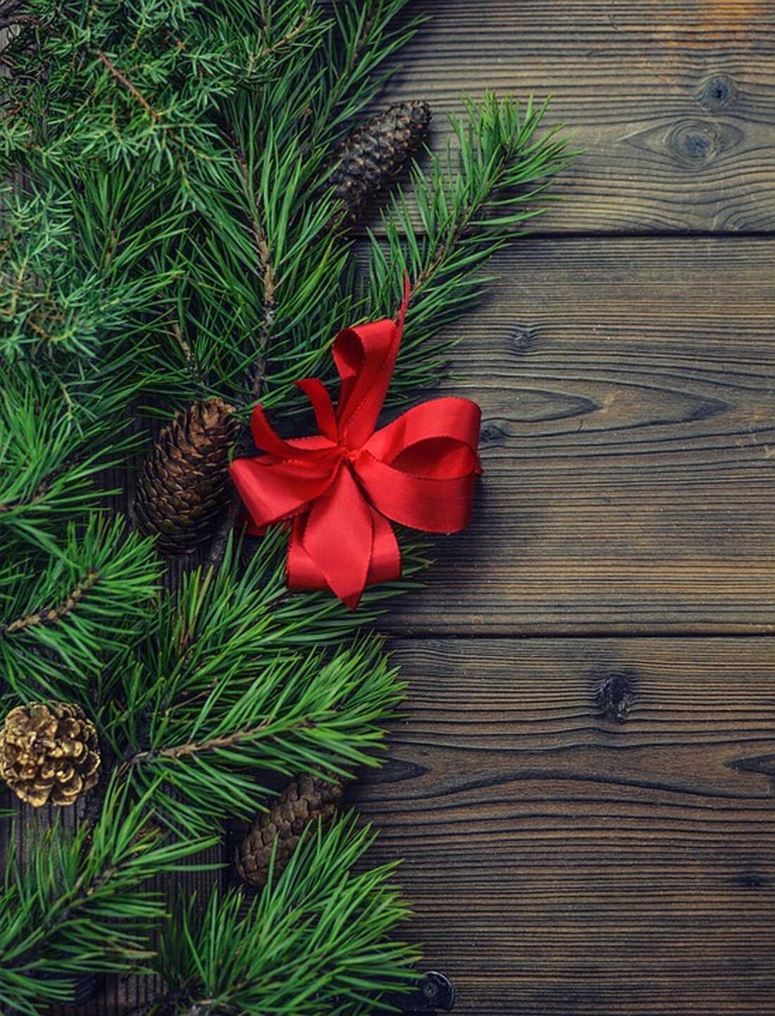 Erleben Sie "Weihnachten mal anders" mit Marlene Pregesbauer am 1. Dezember im Festsaal des Rathauses. Lassen Sie sich von neuen Klängen traditioneller Weihnachtslieder verzaubern!