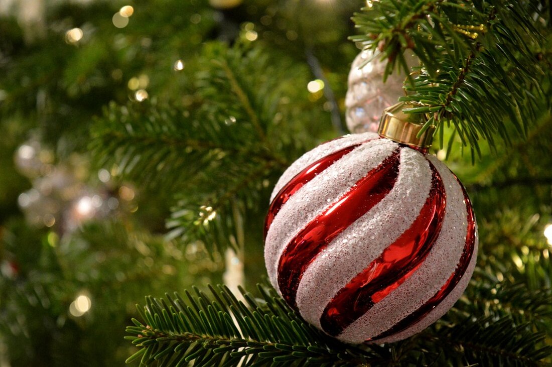 Der Eisenstädter Christkindlmarkt erstrahlt wieder in festlichem Glanz und zieht zahlreiche Besucher in die stimmungsvoll beleuchtete Innenstadt. Erleben Sie weihnachtliche Magie in Eisenstadt!