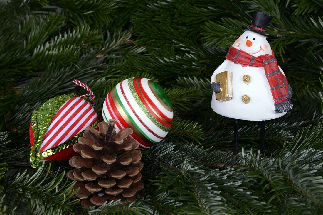 In Ried wird ein Wunschbaum aufgestellt, um die Weihnachtszeit zu bereichern. Bürger können Wünsche auf Zettel schreiben und erfüllen lassen. Ein Akt des Zusammenhalts und der Nächstenliebe!