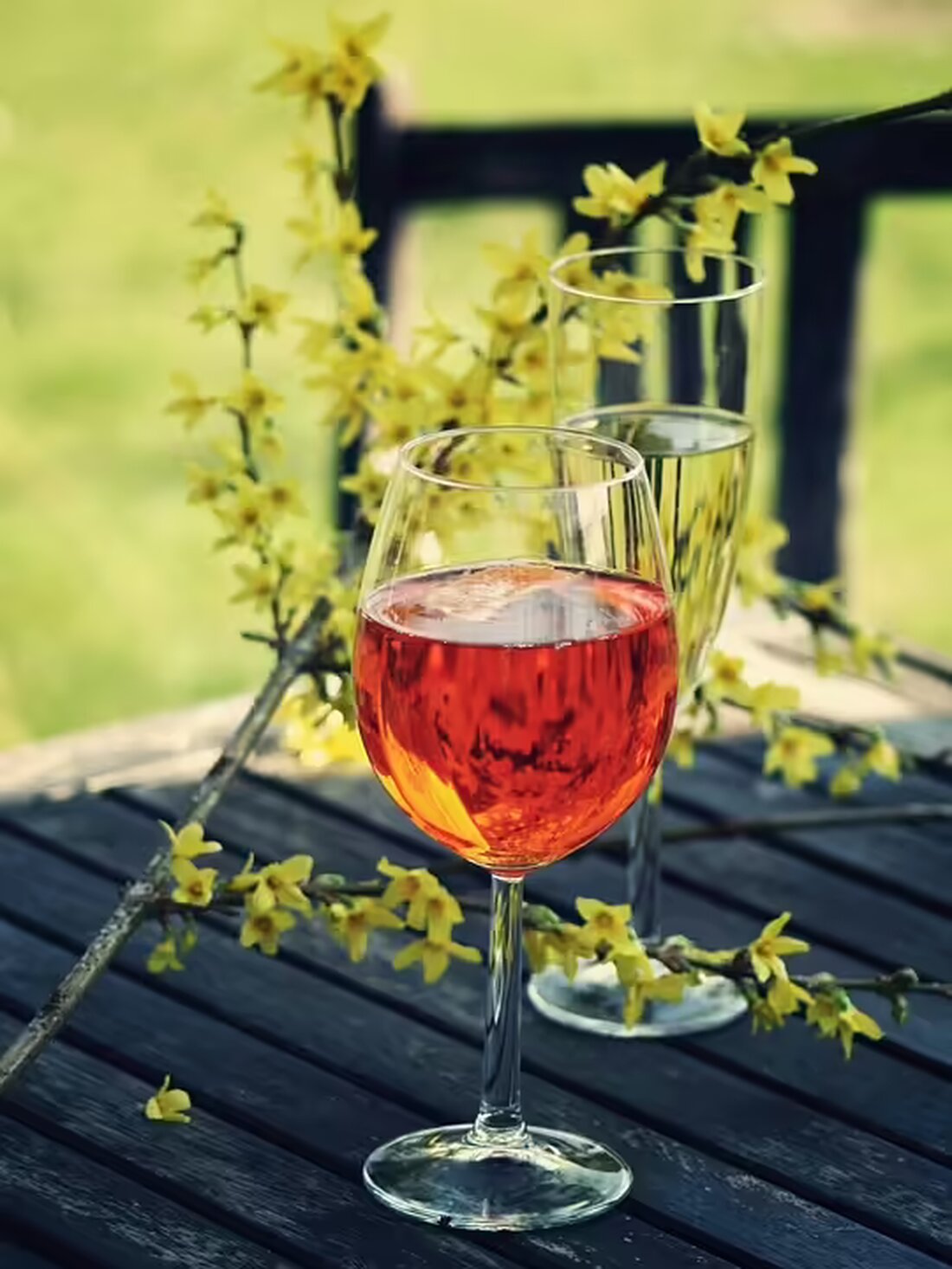 Entdecken Sie die Wein Oase am 9. November im Gleis//Garten Wien mit Winzern, Comedians und Experten! Gewinnen Sie Tickets für ein unvergessliches Weinerlebnis!🍷✨