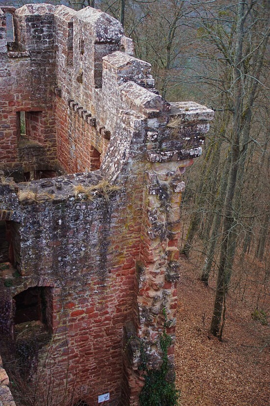 In Falkenstein wurde der Jahrgang 2024 feierlich mit der Weintaufe und dem Namen „Primus Unum“ vorgestellt. Der Weinpate Hannes Steinacker spricht über den besonderen Anlass und die Symbolik.
