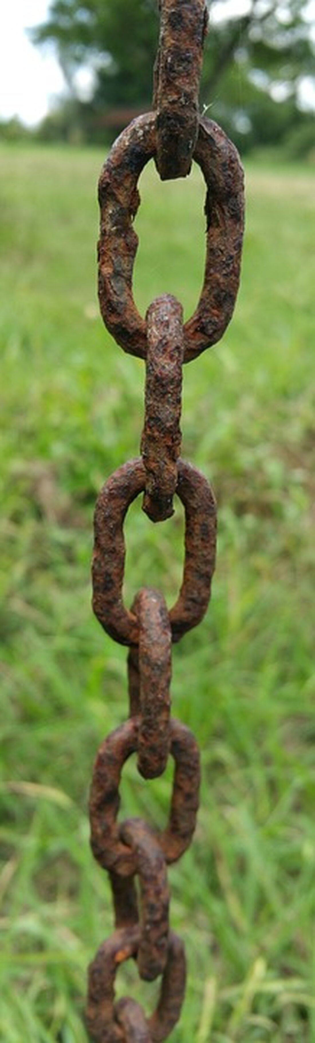 Drei Jahre nach dem tragischen Vorfall bei den Dreharbeiten zu "Rust" sorgt die Weltpremiere für einen Ansturm beim Ticketverkauf und lässt das System zusammenbrechen. Jetzt wird der Film endlich gezeigt.