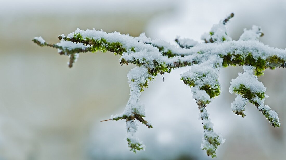 Erfahren Sie die Wettervorhersage für Klagenfurt am Wörthersee vom 21. bis 27. November 2024: Niedrige Temperaturen, wolkig, mit möglichem Schneefall. Bleiben Sie informiert!