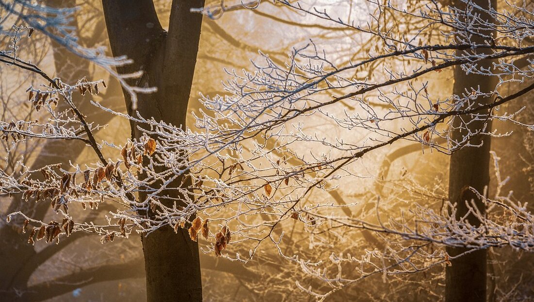 Erfahren Sie, wie das Wetter in Klagenfurt am Wörthersee vom 25. November bis 1. Dezember 2024 wird: Niedrige Temperaturen, wechselhaftes Wetter und Schnee erwarten Sie in den nächsten 7 Tagen.