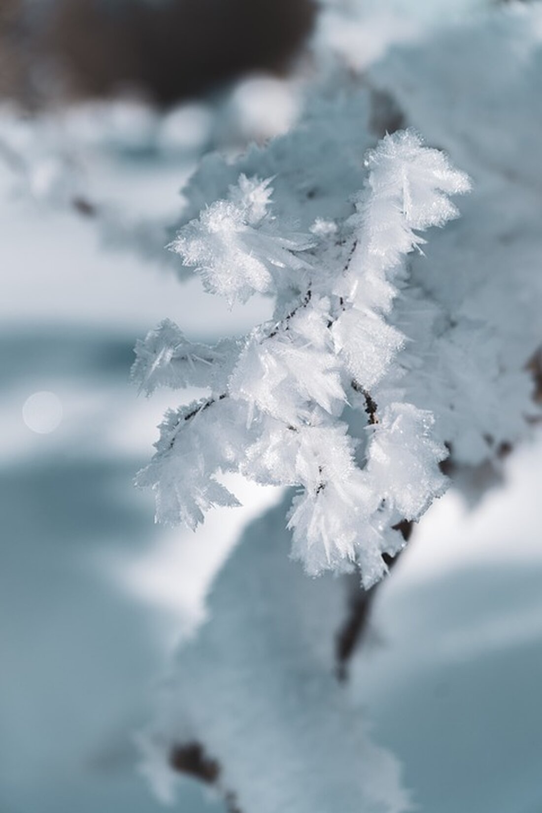 Wetterwarnung für Feldkirch: Von 21. bis 27. November wird kaltes Wetter mit Schnee und Eis erwartet. Informieren Sie sich über die Prognose und Vorsichtsmaßnahmen für die kommende Woche!