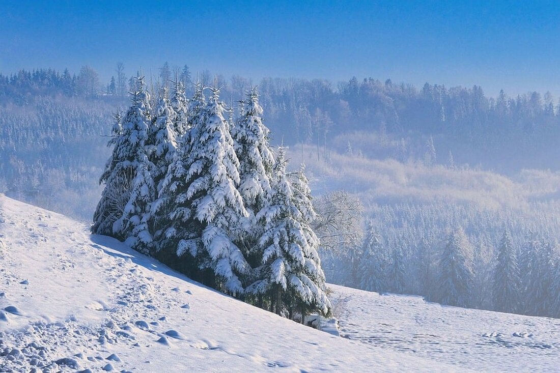 Wetterwarnung für Bregenz! Erfahren Sie alles über die Prognose vom 19. bis 25. November 2024, inklusive Schneefall und Sturm. Hier sind die Details zur Wetterlage in der kommenden Woche.