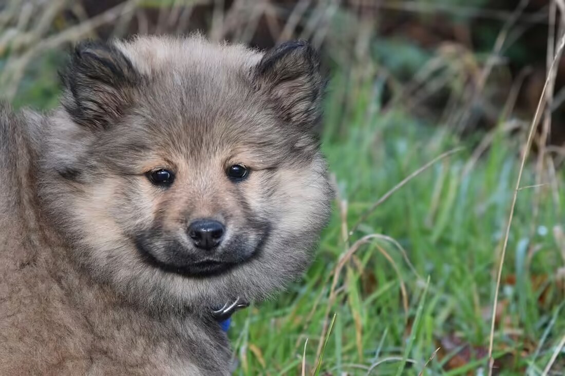 Bundespräsident Van der Bellen hat sich einer Operation unterzogen. Erfahren Sie in unserem Artikel mehr über den Gesundheitszustand und die Hintergründe der Eingriffe.