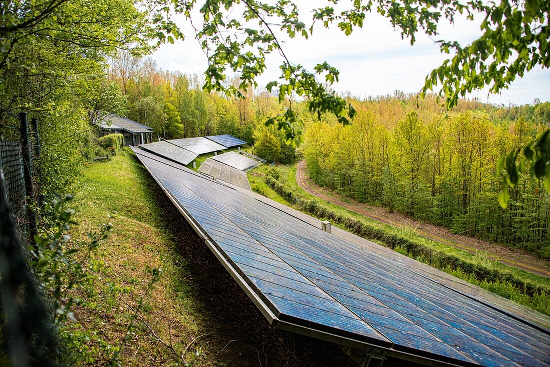 Wienerberger hat sein erstes "grünes" Ziegelwerk in Uttendorf eröffnet, wo mit einem Elektroofen CO2-Emissionen um bis zu 90 % gesenkt werden sollen. Ein wichtiger Schritt in Richtung nachhaltige Ziegelproduktion.