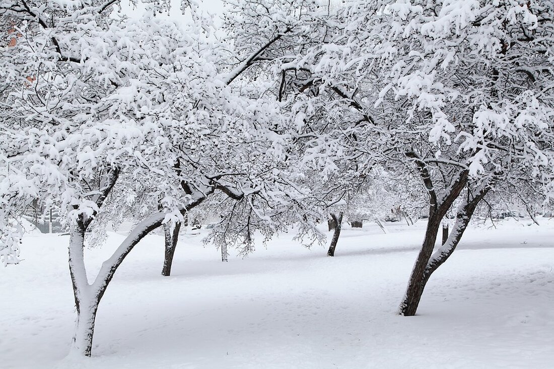 Erleben Sie den frühen Skistart bei den Gaaler Liften! Bereits am Samstag, den 23. November, geht's los mit Schneespaß, unterstützt von neuen Beschneiungsanlagen und idealen Wetterbedingungen.