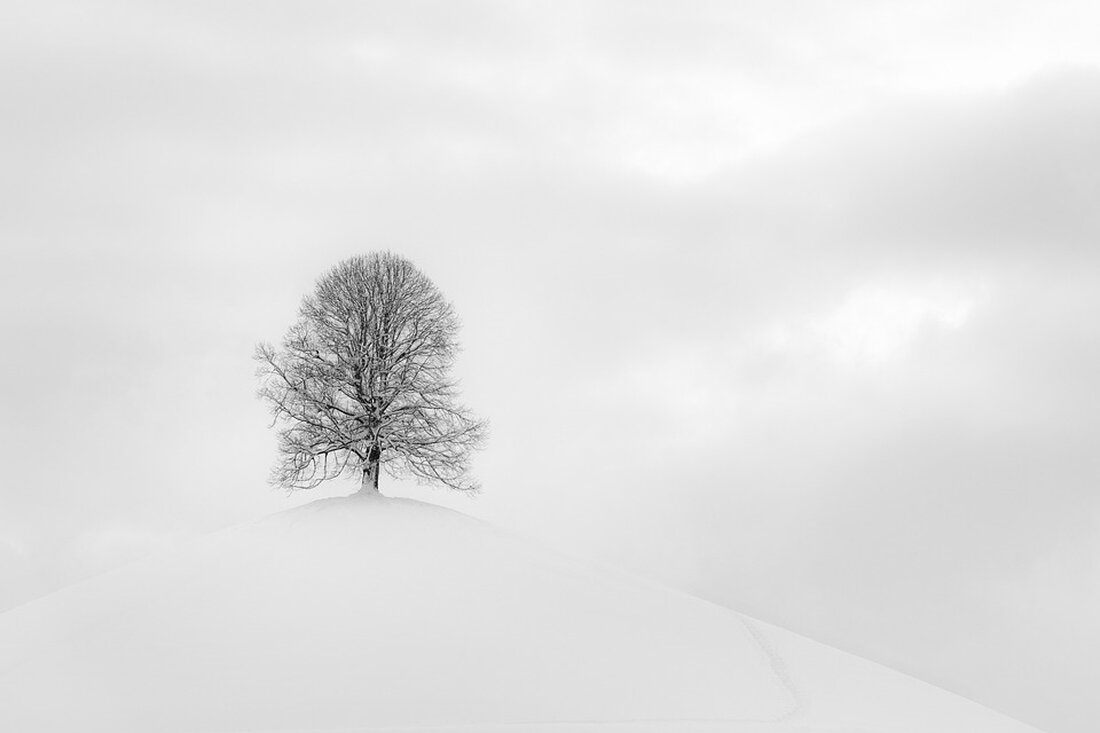 Entdecken Sie beim Schneeschuhwandern in Spital am Pyhrn die unberührte Winterlandschaft! Gewinnen Sie eine geführte Tour und erleben Sie die Stille der Natur abseits der Pisten.