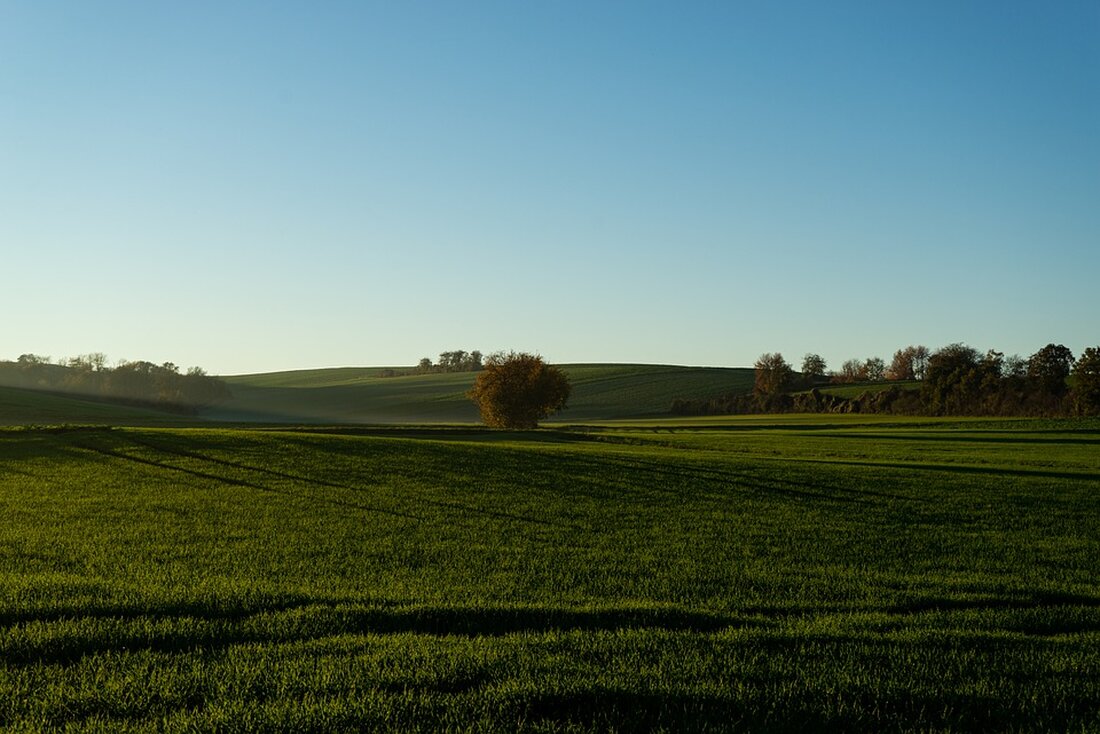 Erfahren Sie das aktuelle Wetter in Wolfsberg für heute und morgen sowie die Prognose für die nächste Woche. Entdecken Sie, was Sie in der KW 48 erwartet, inklusive möglichem Schneefall.