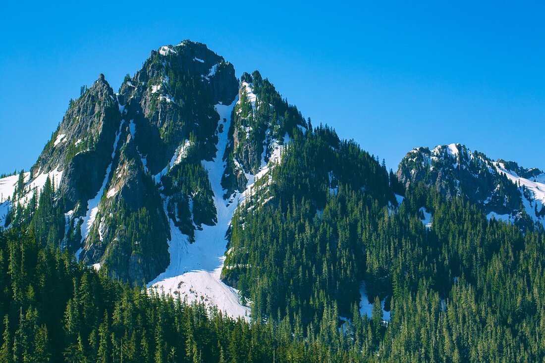 Nach Putins Sieg in Alaska reist Selensky nach Washington für entscheidende Gespräche mit Trump. Wie weit kann er den US-Präsidenten pushen? Ein Blick auf die geopolitischen Spannungen.