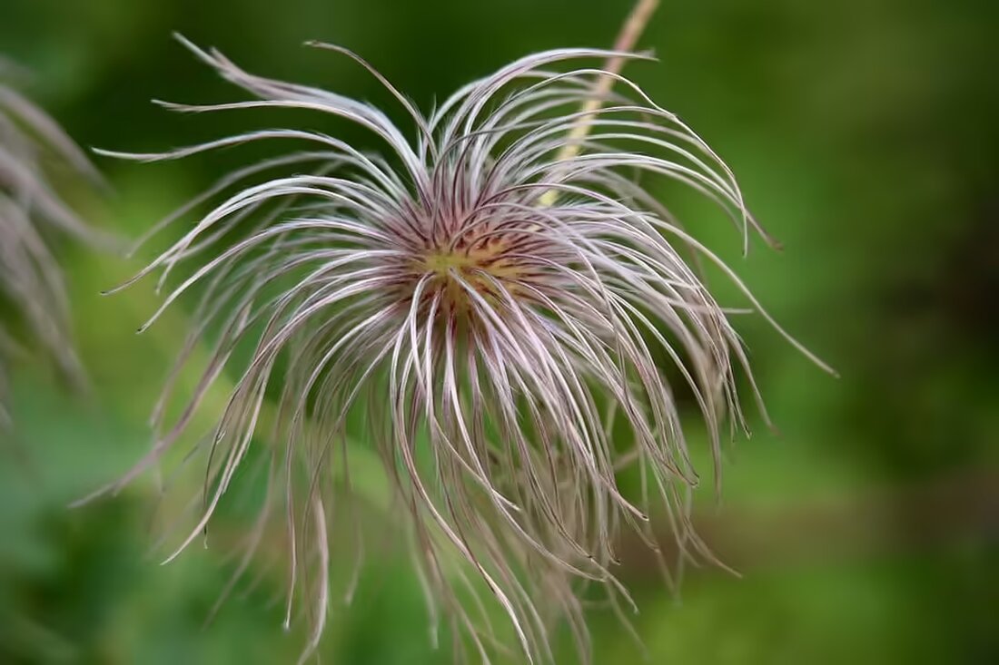 Die Stumpf-Gruppe hat die Übernahme des Hedy-Lamarr-Einkaufszentrums in Wien erfolgreich abgeschlossen. Doch welche Pläne hat man für die Zukunft des stillgelegten Gebäudes?