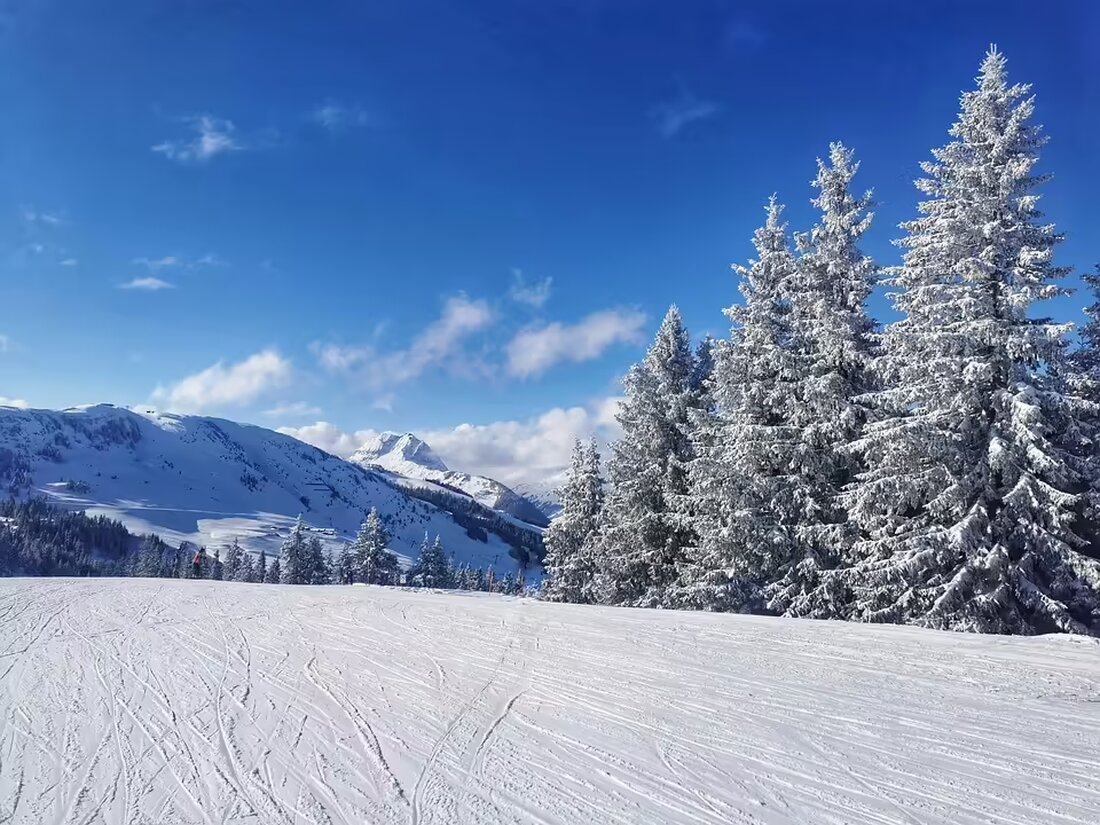 Die Landesumweltanwaltschaft Salzburg wird durch ein neues Gesetz entmachtet. Dies könnte weitreichende Folgen für das Skigebiet Weißsee Gletscherwelt und Umweltfragen in der Region haben.