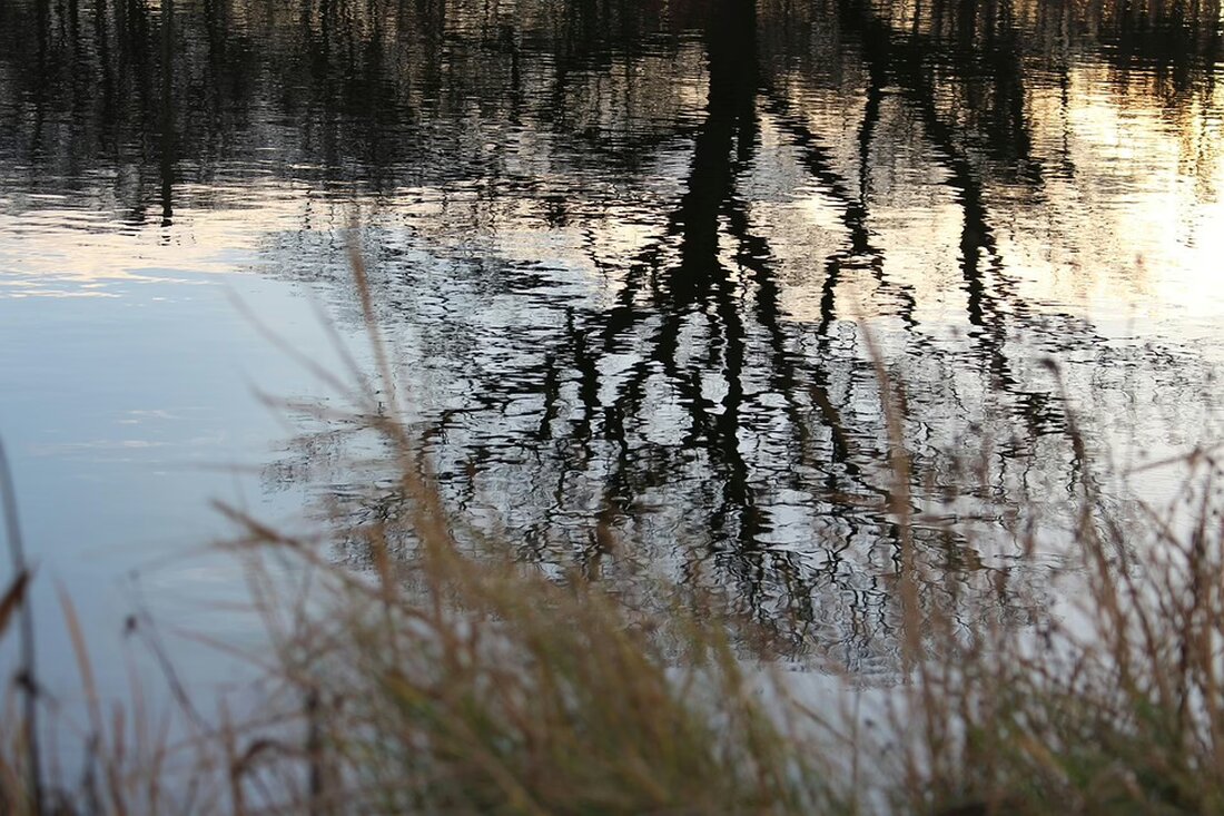 Das Wirtschaftsbarometer St. Veit beleuchtet die Herausforderungen und Chancen der Region im Wandel. Fachkräftemangel, Bürokratieabbau und Digitalisierung spielen dabei eine zentrale Rolle.