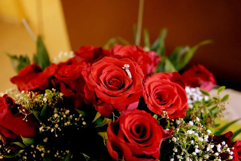 Roses 1418098 960 720.jpg