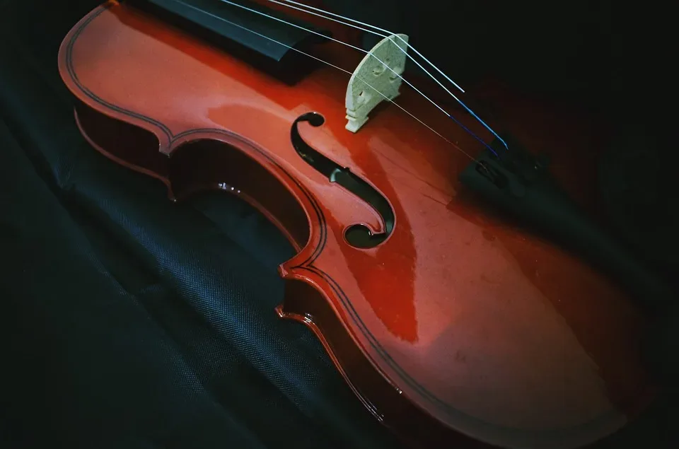 Violin 3577816 960 720.jpg