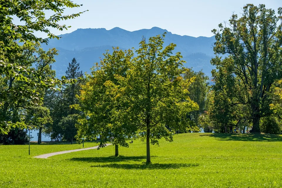 Christian-Broda-Platz: Aus Stangenwald wird Blätterparadies – Neugestaltung mit Bäumen, Grünflächen und breiten Radwegen