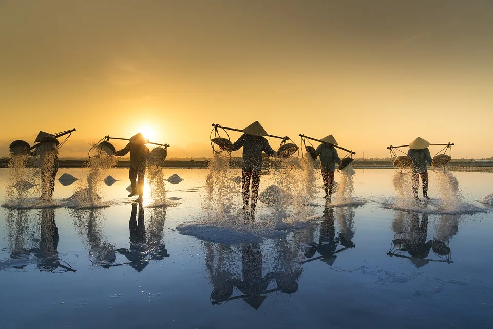 Salt Harvesting 3060093 960 720.jpg