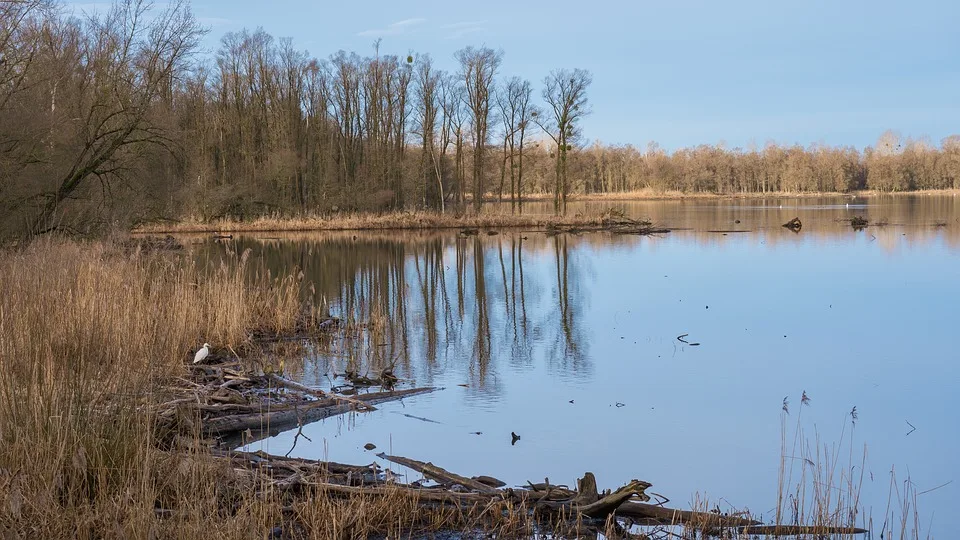 Viele Bauprojekte und viele Sorgen in Niederösterreichs Natura-2000-Gebieten - Österreich