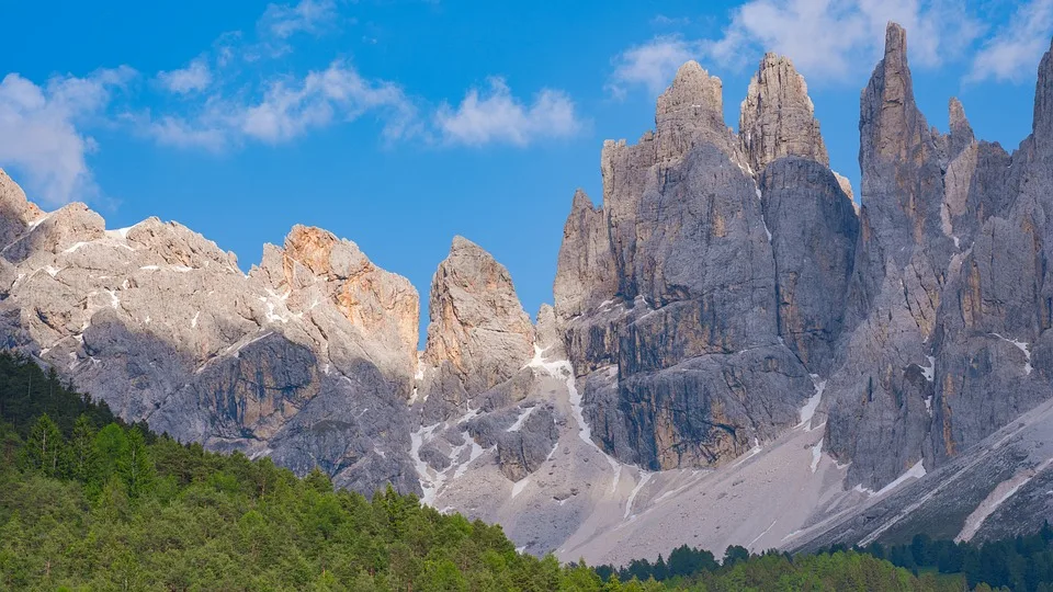 Tirol will Tierärzte im Land halten