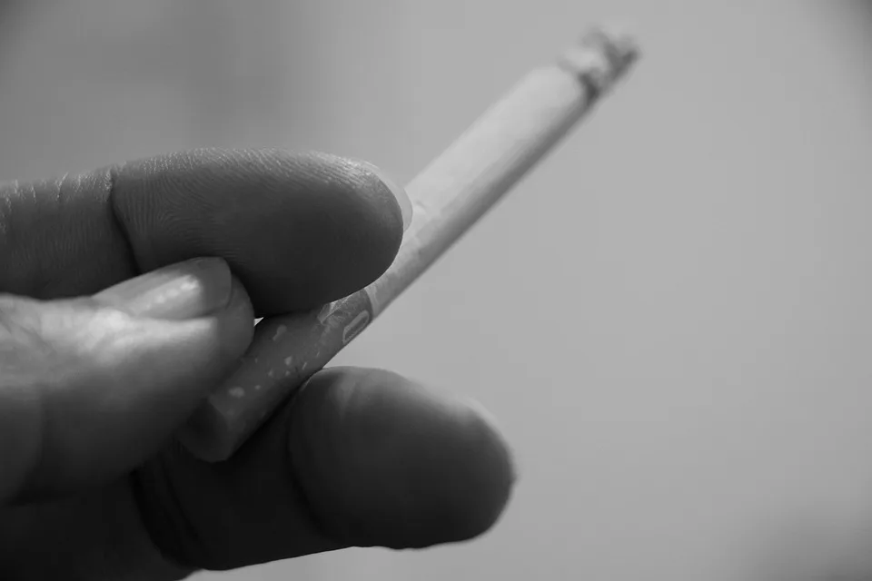 Zoll entdeckte 80.000 geschmuggelte Zigaretten am Flughafen Wien - Österreich