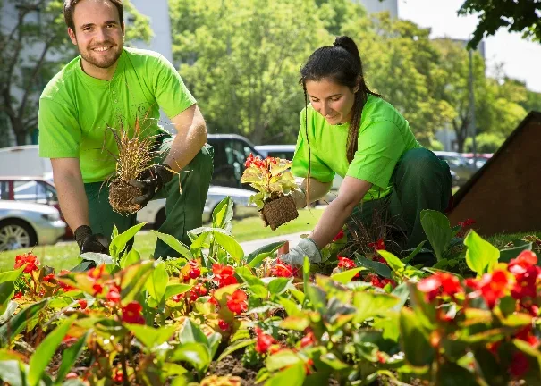 Die Wiener Stadtgärten starten mit der Auspflanzung der diesjährigen Sommerblumen