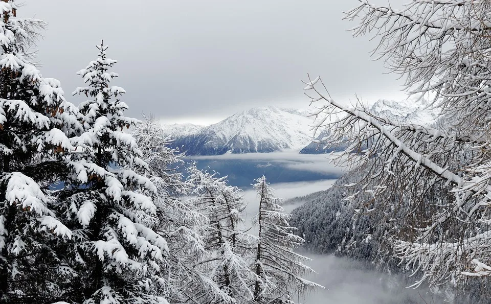 Wenige leerstehende Wohnungen gemeldet - tirol.ORF.at