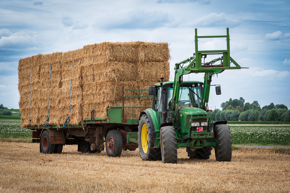 ProplantaWien: Großhandelspreise vom 29.05.2024 für landwirtschaftliche Produkte | 
proplanta.deDie aktuellen Preise für Weizen, Mais, Raps sowie Großhandelspreise für 
Hülsenfrüchte, Sonnenblumen, Kürbiskerne, Reis, Vogelfutter, Mohn, 
Kartoffeln der....vor 21 Minuten