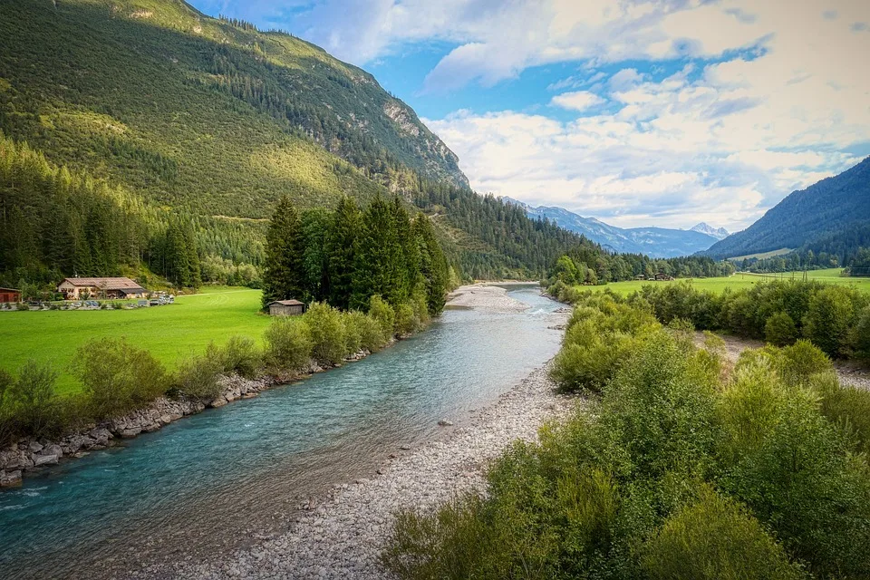 Nehammer plant DNA-Tests für Flüchtlinge in Österreich – Grüne überrascht