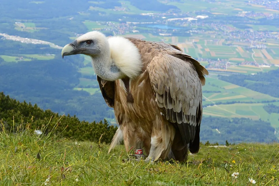 News aus dem Pongau - Aktuelle Nachrichten