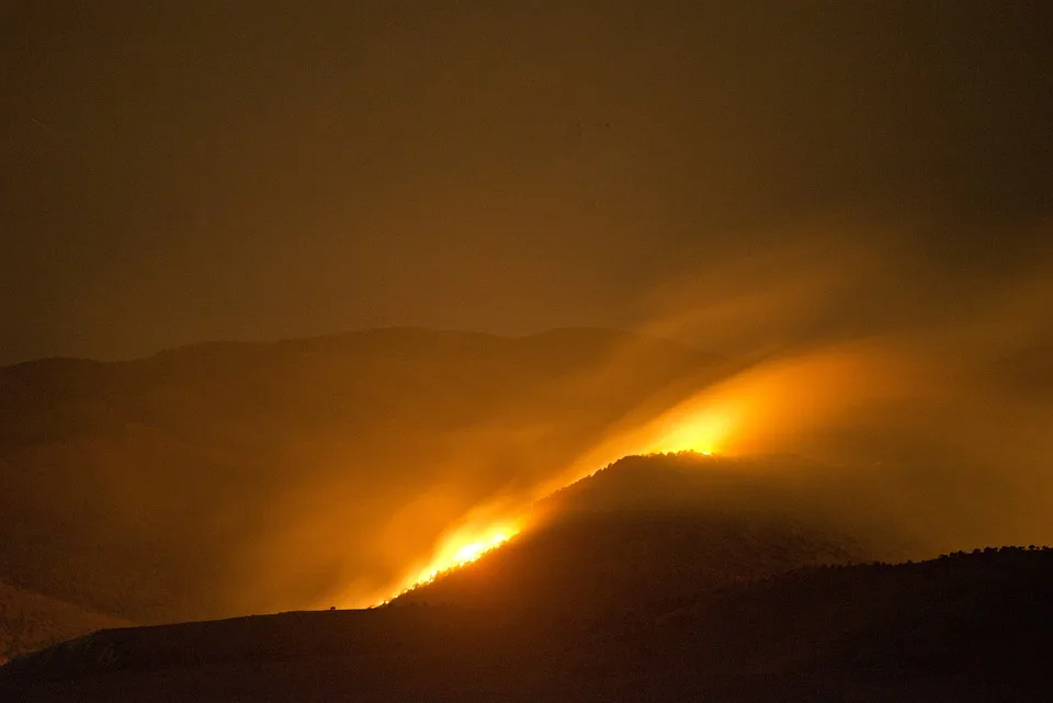 Lagerfeuer löst Waldbrand in Niederösterreich aus