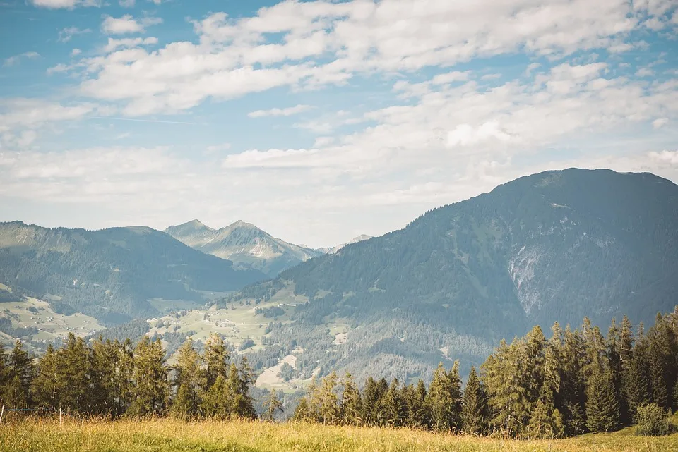 10 Wege, wie du dich in Vorarlberg verabschiedest