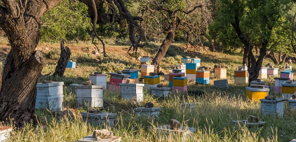 Beehives 5195120 960 720.jpg