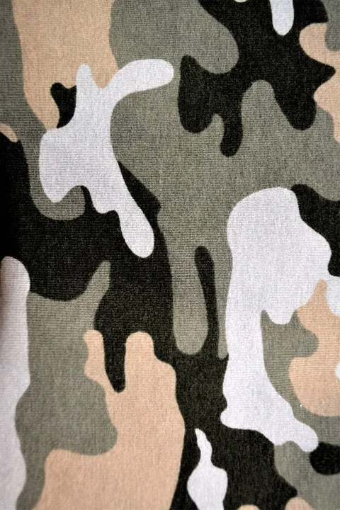 Camouflage 210155 960 720.jpg