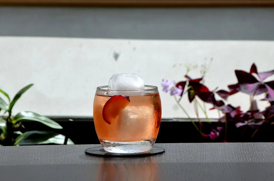 Negroni 2412607 960 720.jpg