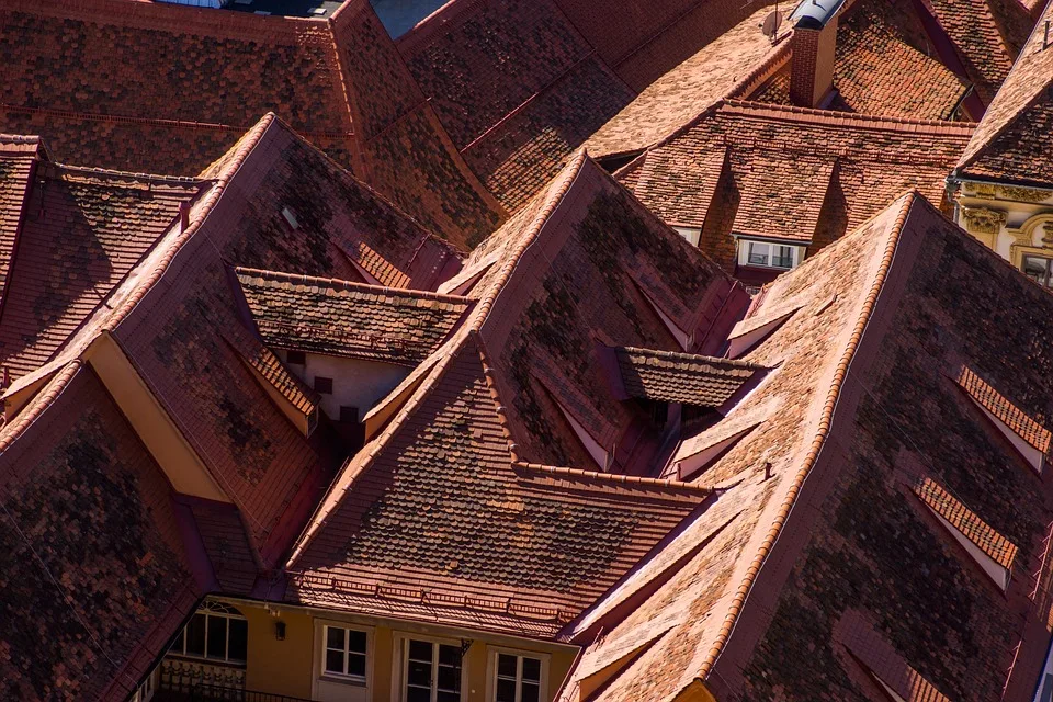 Roofs 3723446 960 720.jpg