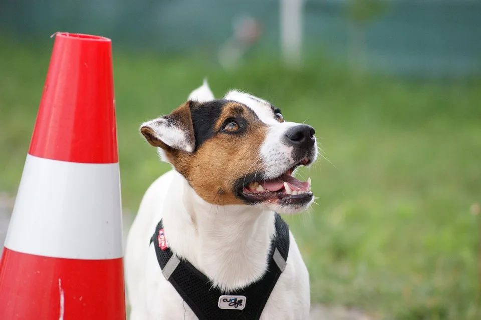 Lenker kracht in Straßenmeisterei-Auto: Drei Verletzte