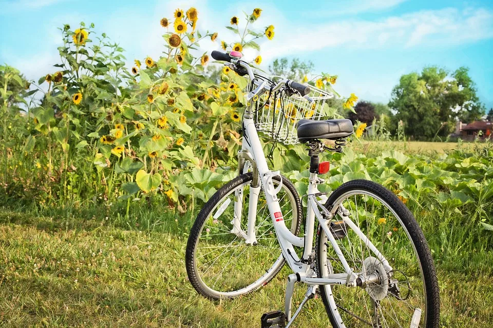 Adfc Befragung Wie Fahrradfreundlich Ist Der Ennepe Ruhr Kreis Jpg.webp