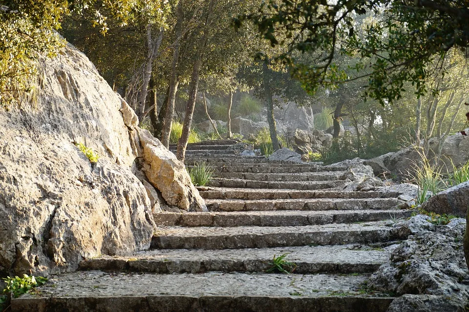 Abenteuer Mallorca Judiths Entdeckungstour Durch Natur Und Kultur Jpg.webp