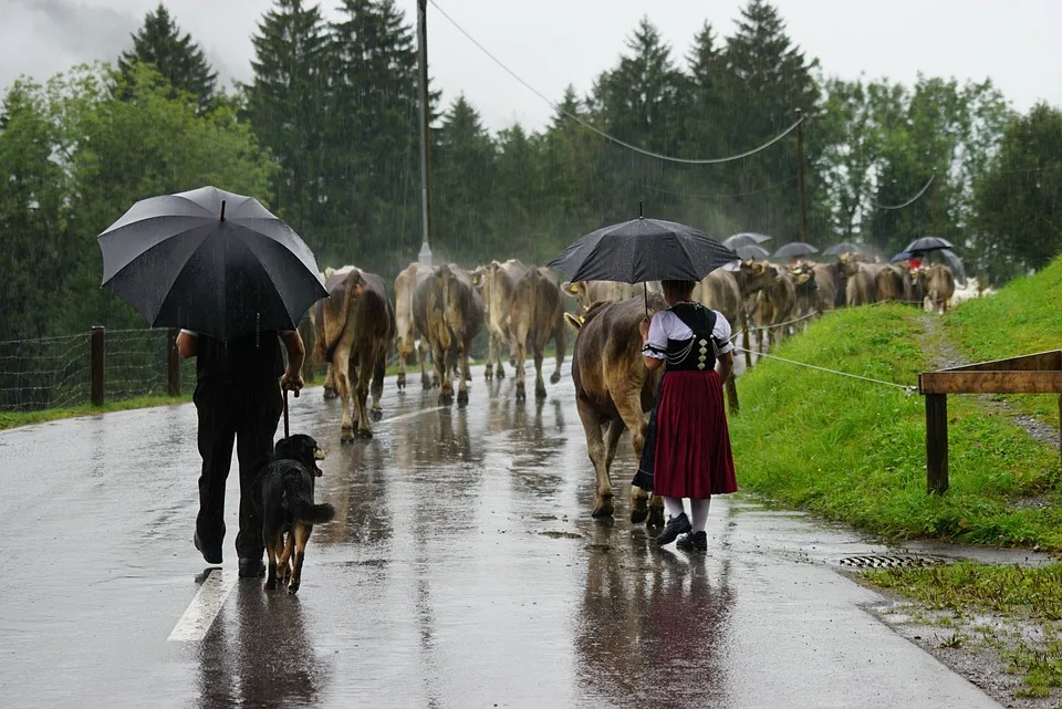 Almabtriebe In Mittenwald Tradition Und Festlichkeit Kehren Zurueck Jpg.webp