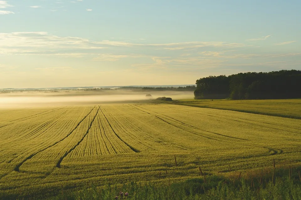 Anstieg Der Grundstuecksverkaeufe In Sachsen Anhalt 2023 Im Ueberblick Jpg.webp