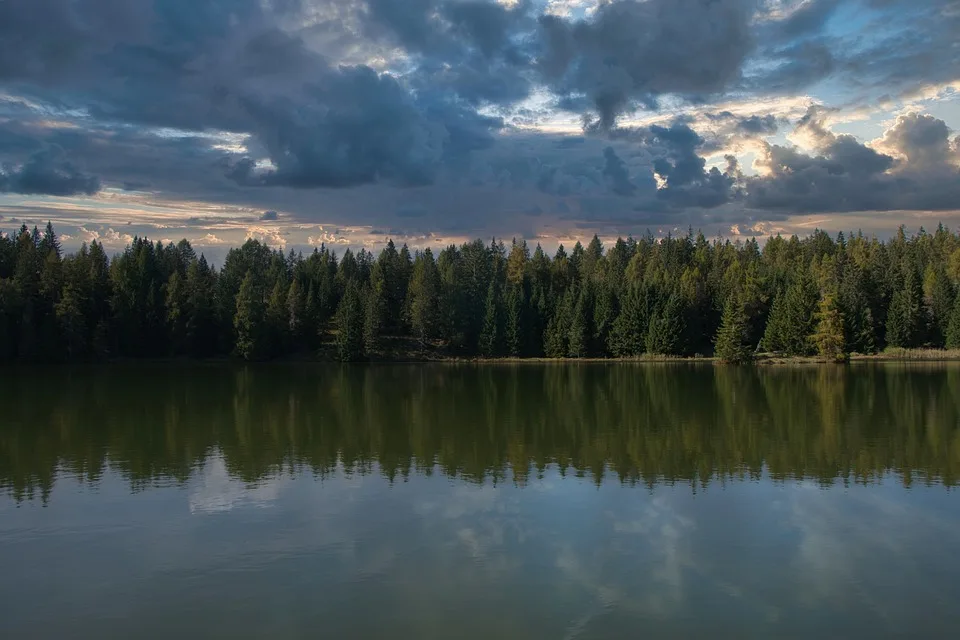 Der Woerther Weiher Ein Naturjuwel Fuer Erholungssuchende Jpg.webp