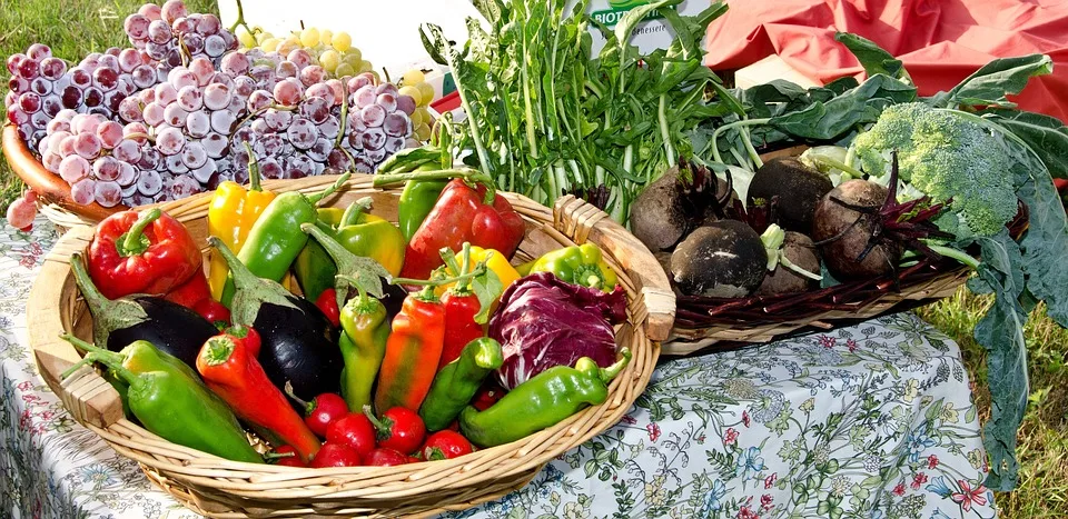 Die Neue Supermarkt Kette Delfo Tiefkuehlprodukte Der Zukunft In Deutschland Jpg.webp