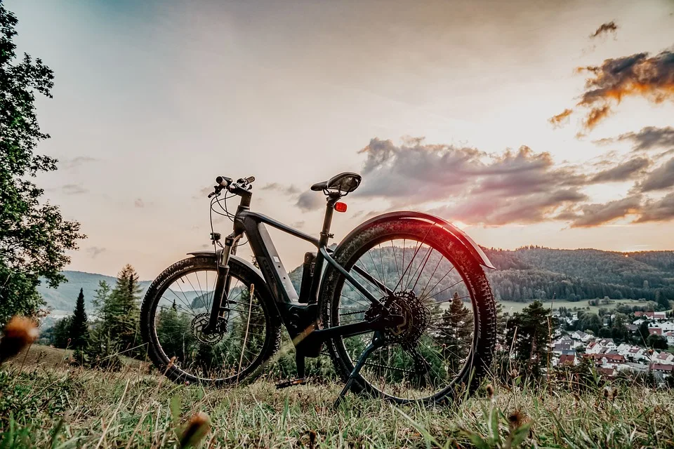 E Bike Diebstahl In Wondreb Polizei Sucht Zeugen Fuer Hinweise Jpg.webp