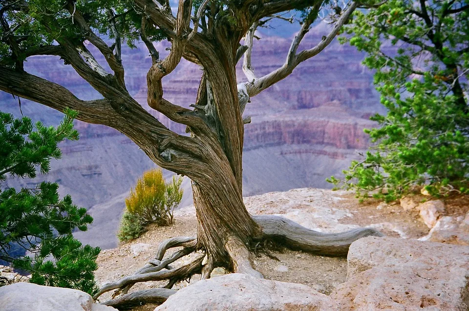 Entdecken Sie Den Groessten Canyon Deutschlands Im Malerischen Hochscharzwald Jpg.webp