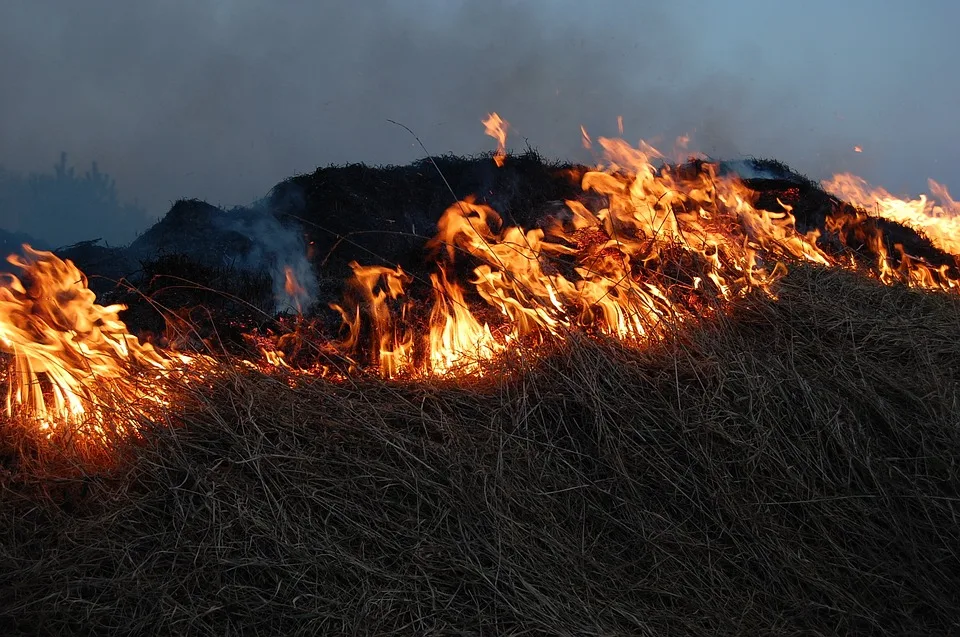 Feuer Im Stade 30 Bewohner Sicher Evakuiert Und Keine Verletzten Jpg.webp