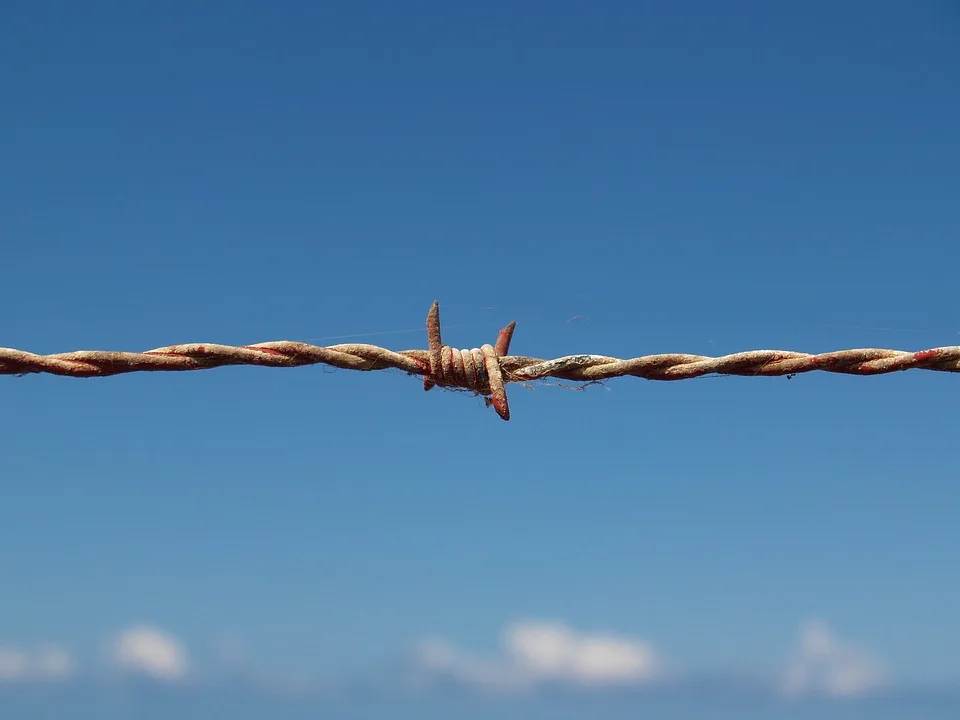 Fluechtlingszahlen In Brandenburg Sinken Uckermark An Der Spitze Jpg.webp